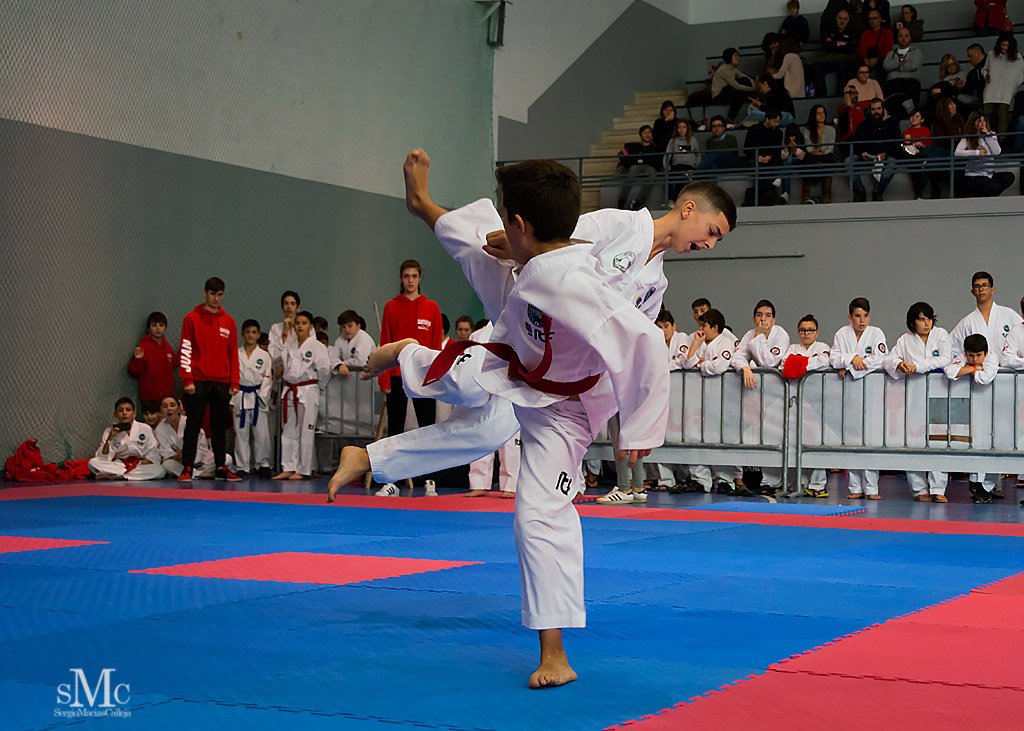 COPA SEUL, 2017  (16).JPG